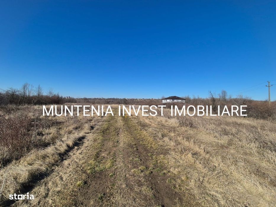 Teren 11197 mp. intravilan, Hințești