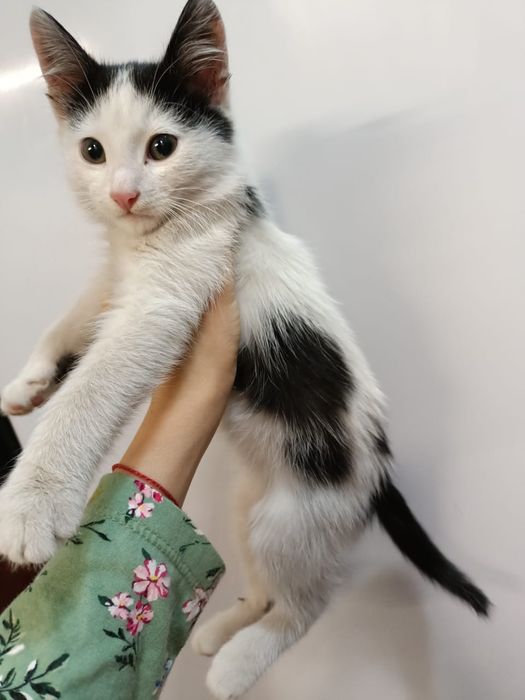 Красивый мальчуган