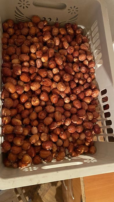 Жиде мәуе сатылады 1800 тг кг