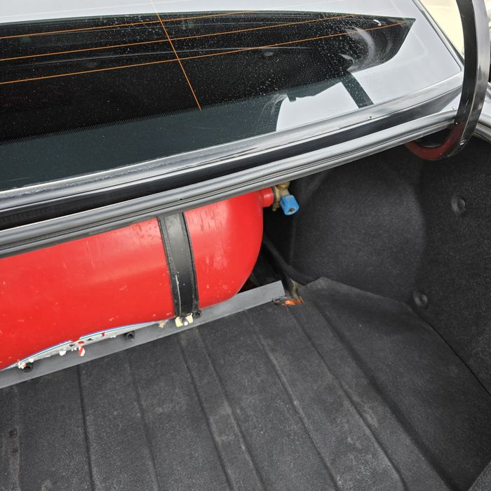 Жентра ат 2023 родной