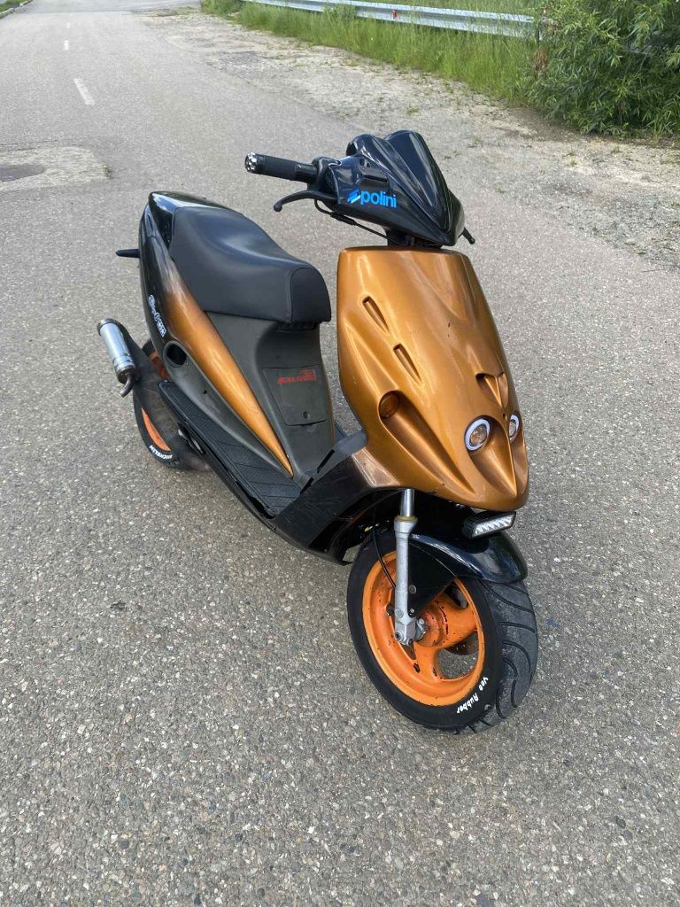 Vând malaguti  f12 ful polini