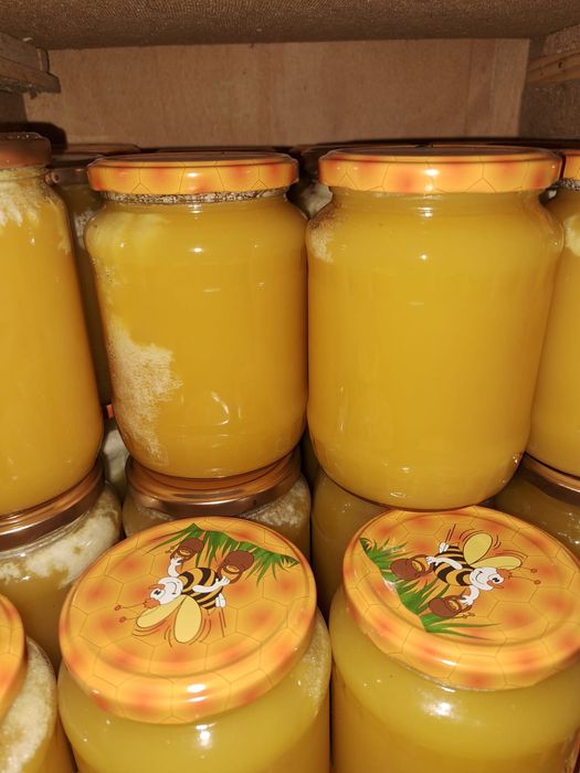 Mire rapiță/floarea soarelui