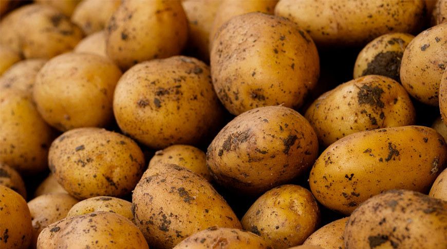Продам домашнюю картошку.