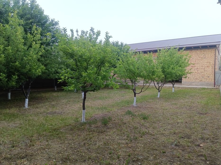 Uchastka sotiladi srochna