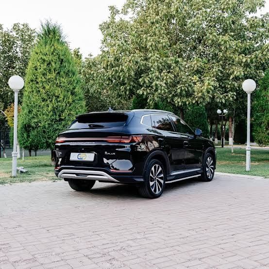 To'yga kartej, aeraportdan kutib olish, turistlarga kunlik