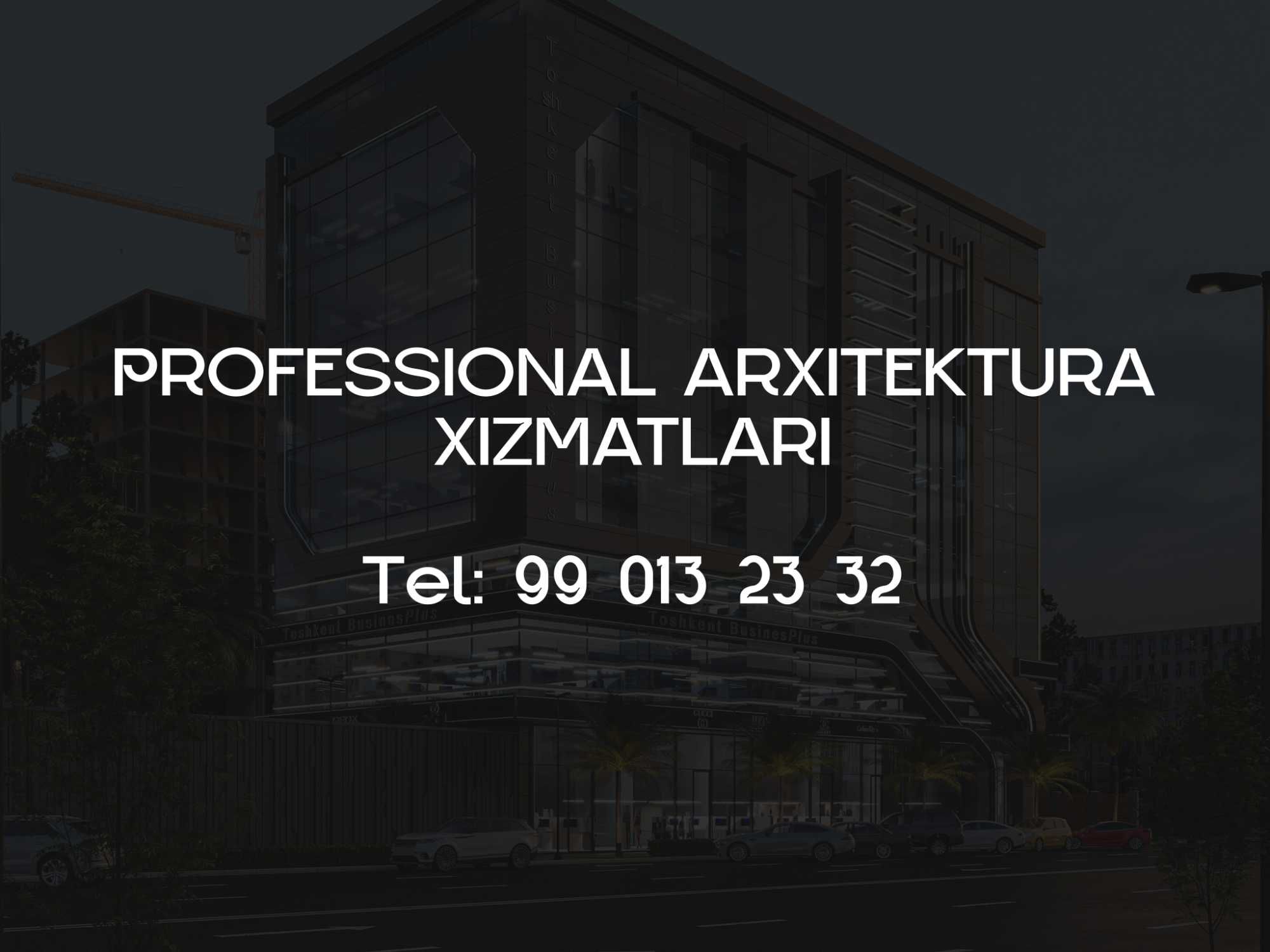Arxitektura, Arxitektor, Arxitektura va dizanyn xizmatlari