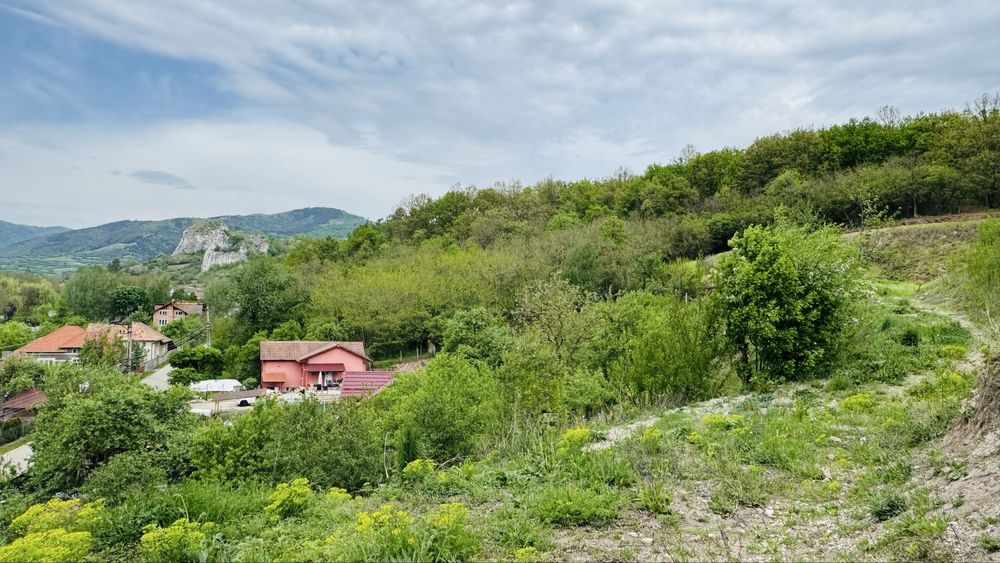 Teren 4300 mp intravilan Ampoita Panoramic - langa padure - apa+curent