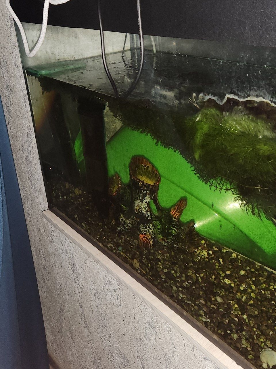 Сатилади аквариум