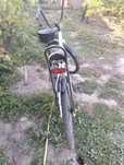 Bicicleta Pegas Stradă 1