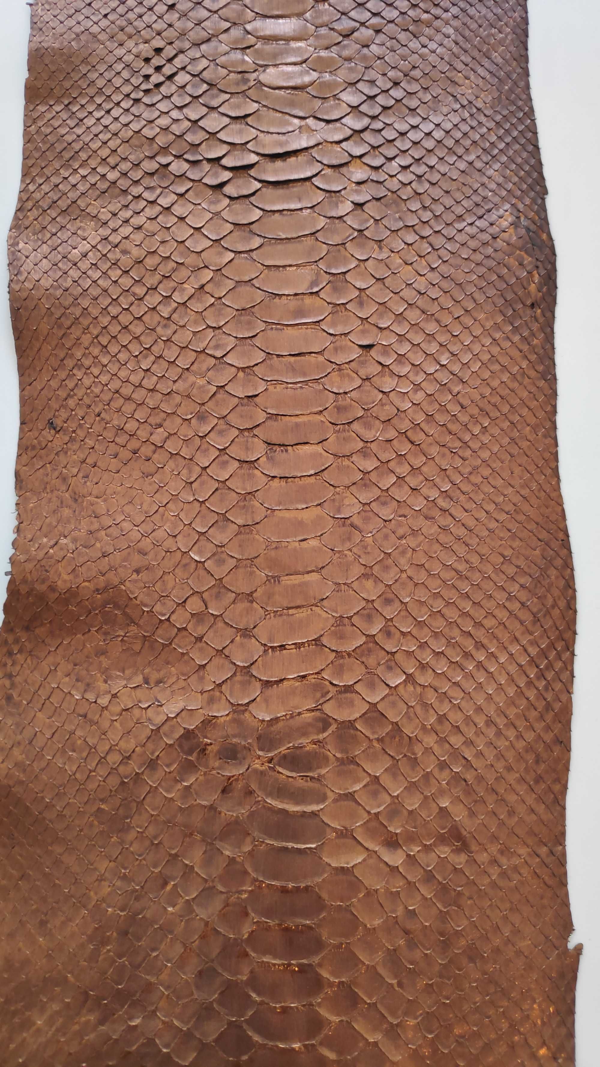 Piele naturala de Piton, culoare bronz