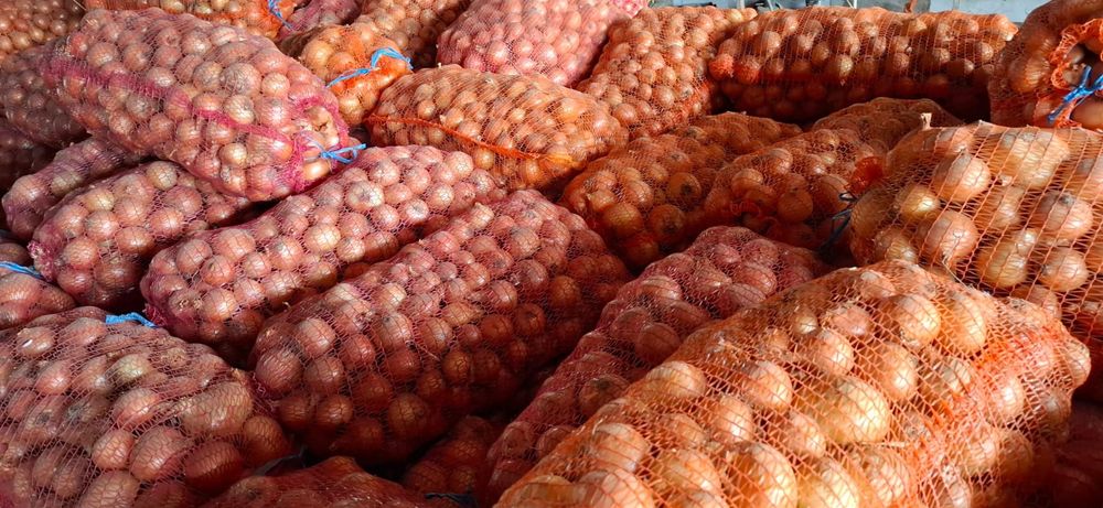 Varza si Ceapa angro!