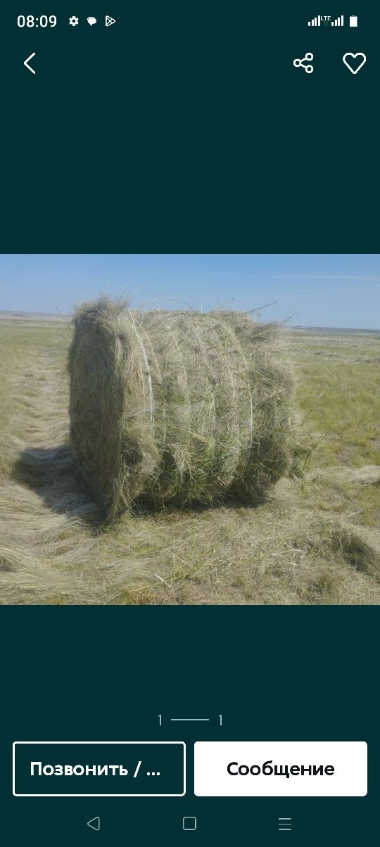 Сено урлон продам сено сено урлон продам разнавие