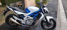 Suzuki Gladius 650