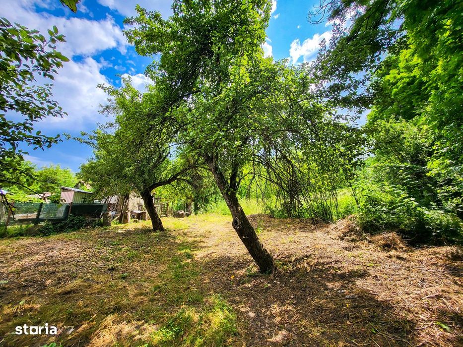 Teren 11700 mp în Valea Lungă, o oază de liniște, aer curat, verdeață