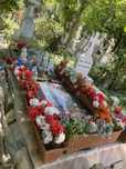 Vand loc de veci cimitirul Reinvierea