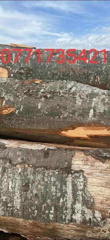 Vând lemn de foc diferite speci crapate sau rotunde