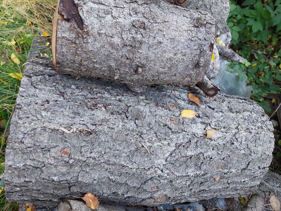 Борово дърво нарязано на метър