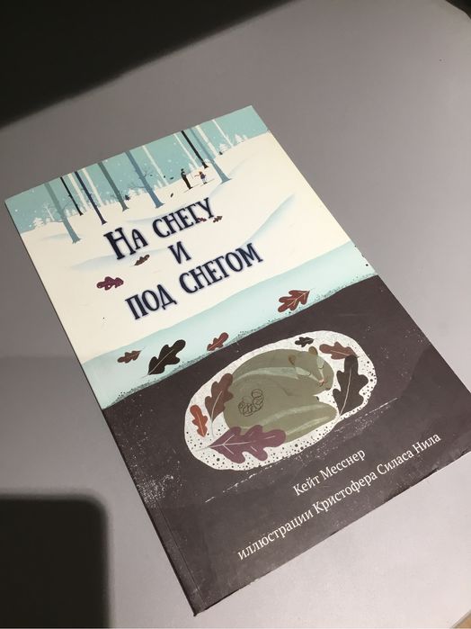Книга для ребенка 3 4 5 лет на снегу и под снегом кейт Месснер подарок