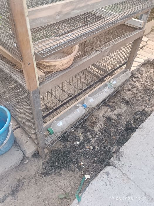 Клетки для кур и кролик