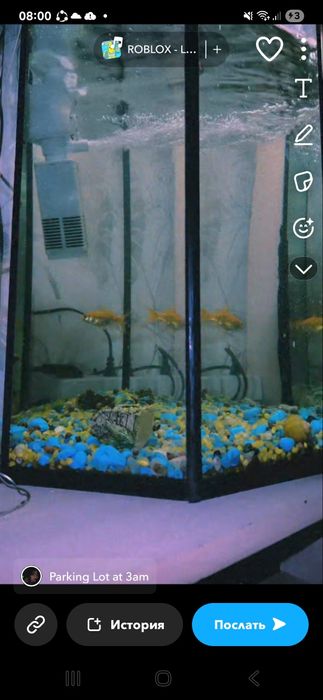 Аквариум с рыбами