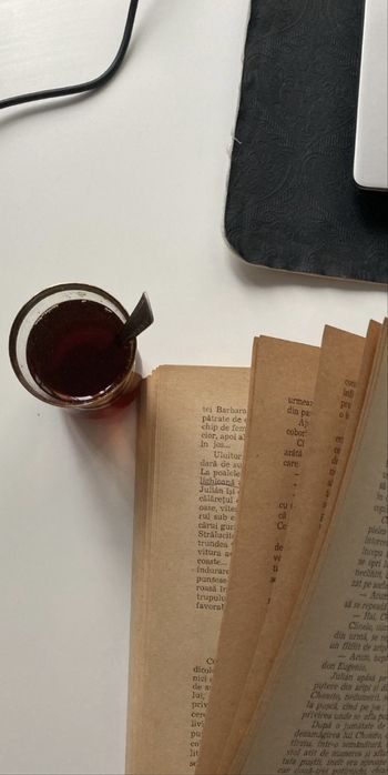 Meditații Limba și Literatura Română