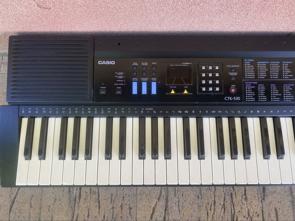 Casio CTK-530 orga electronica