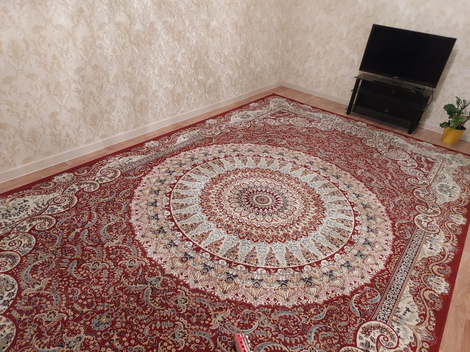 Клем сатылады,. Сапасы жақсы. Бағасы: 50000