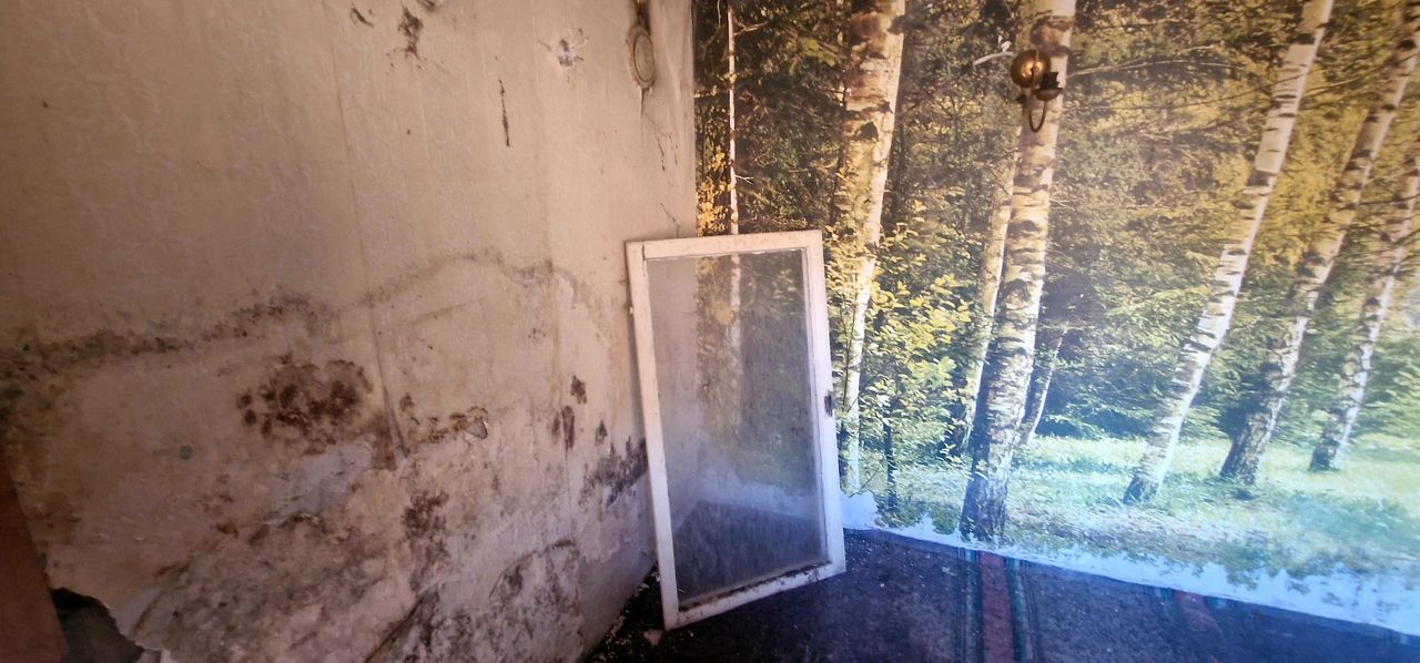 Продава се Къща в с. Бутово, Област Велико Търново - 55 кв.м за 186 €/кв.м - Снимка #4