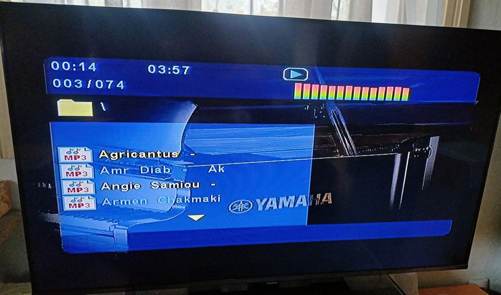 Vand Player Yamaha DVD-E810