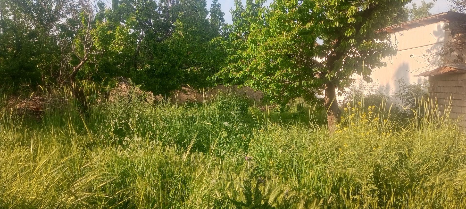 Срочно Уй сотилади