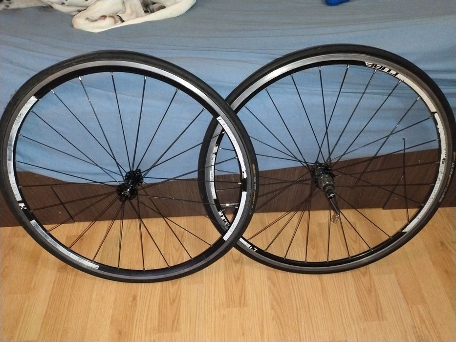 Roti cursiera Alex rim 28 defect