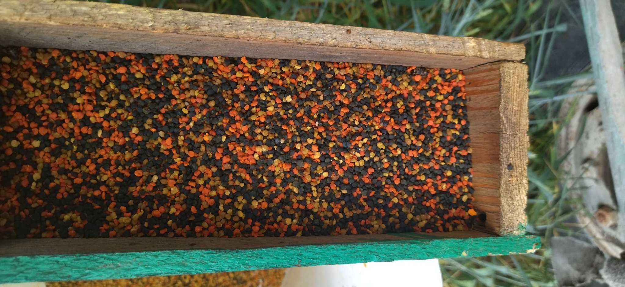 Păstură 2025 -GARANTIA CALITATII,  Polen CRUD / USCAT, Propolis