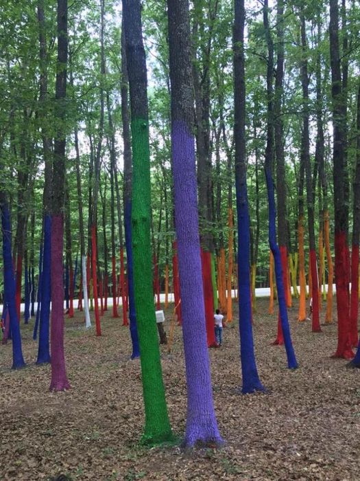 Vand 500 mp teren intravilan construibil langa Buc 5900 euro