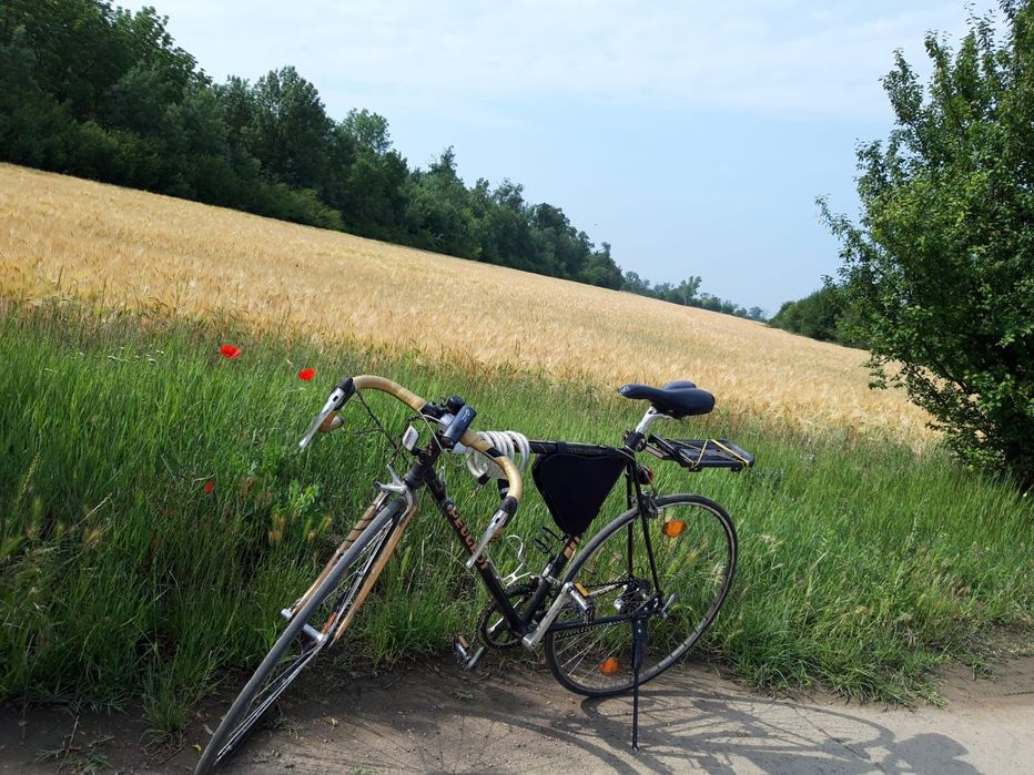 Vand Cursiera PEUGEOT