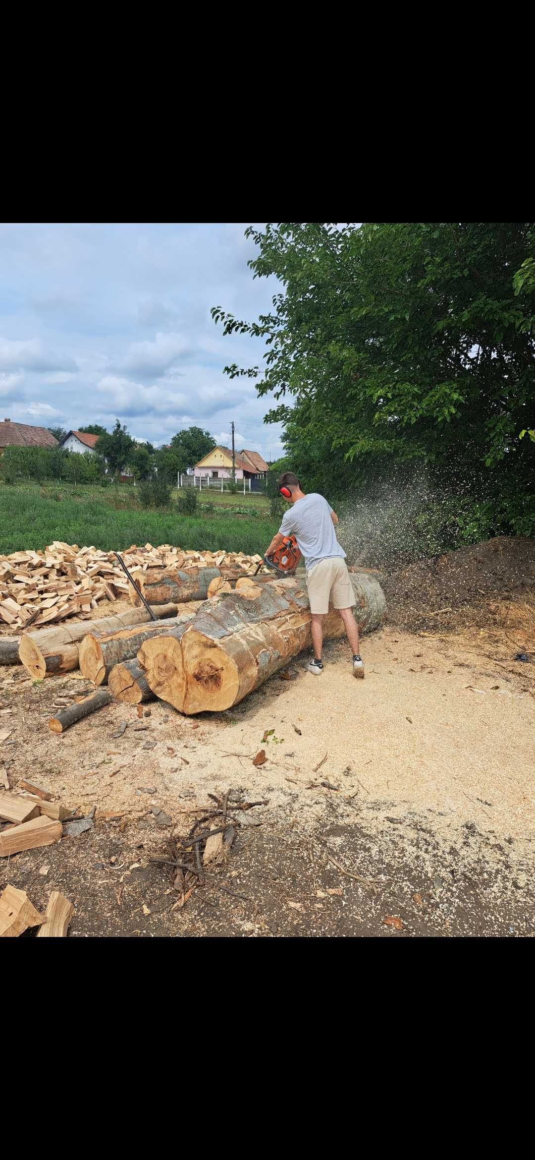 Tai si despic lemne de foc