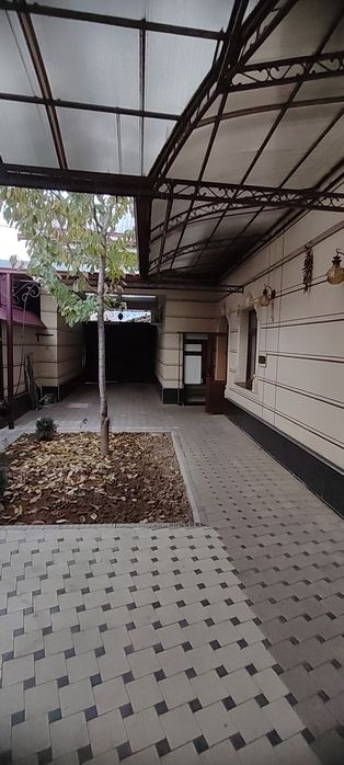 Массив Феруза ор. Докахлеб