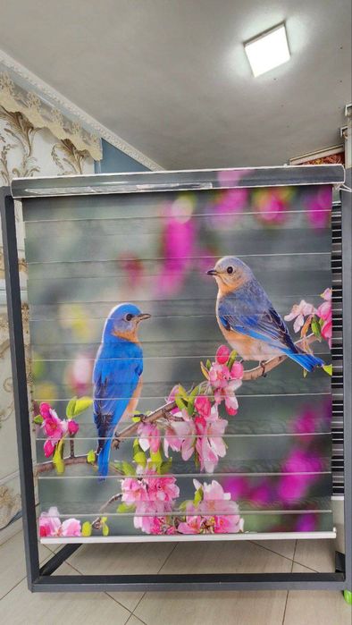 Jalyuzi жалюзи full moon sifat va arzonroq