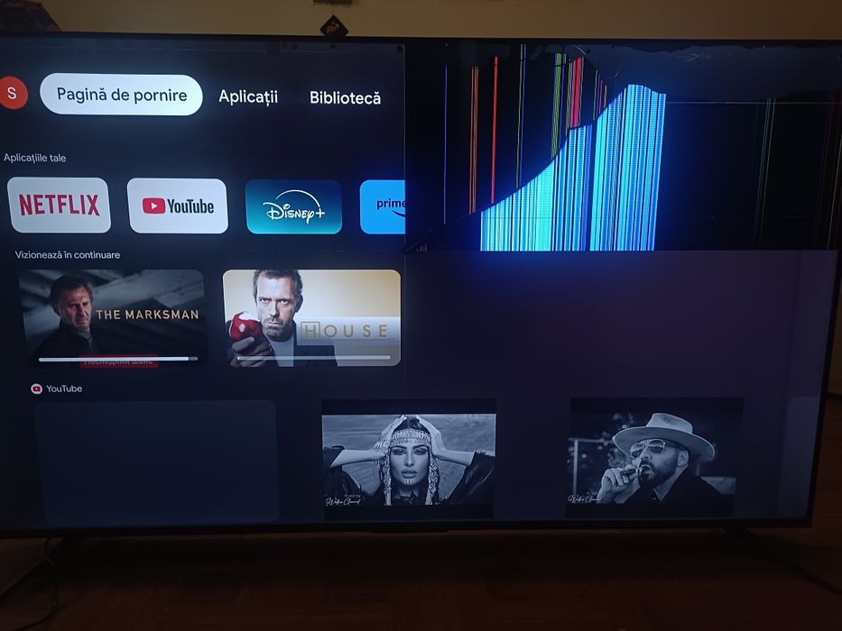 TV TCL 4K HDRTV 65" display defect