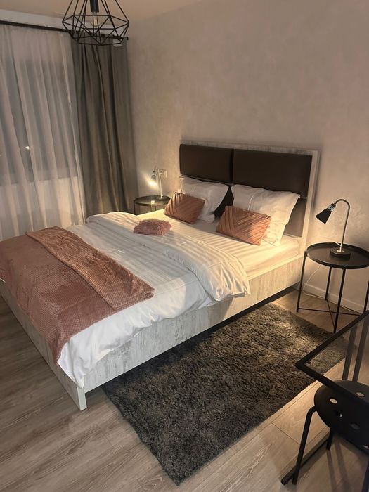 Vila in Busteni 5 Camere 100€ de Camera