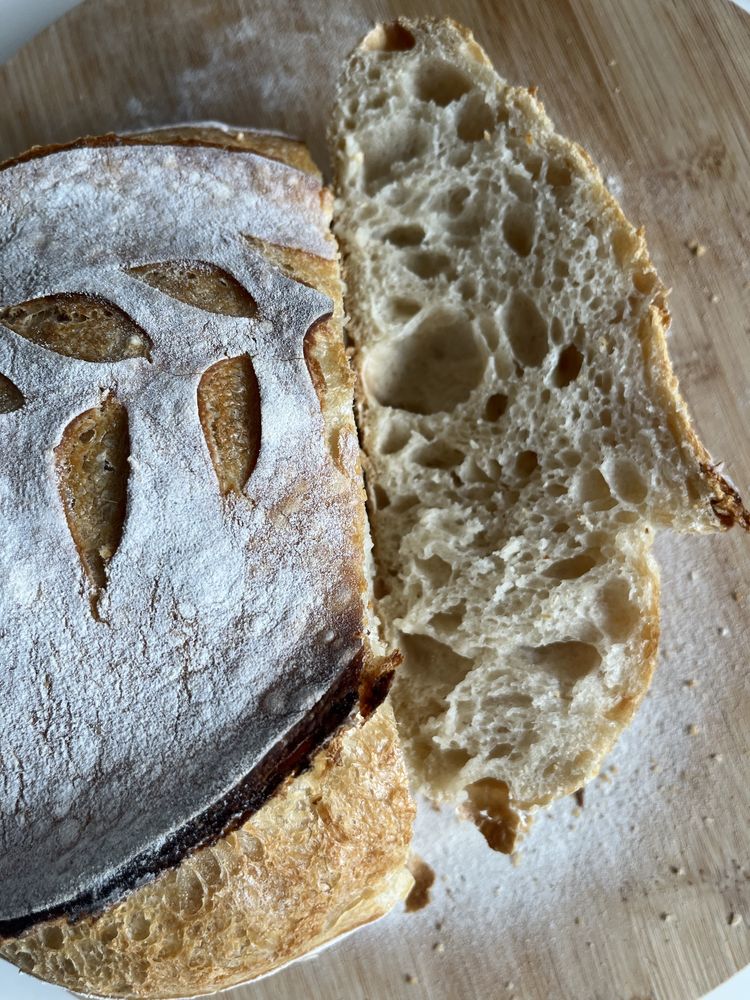 Maia salbatica naturala pentru paine