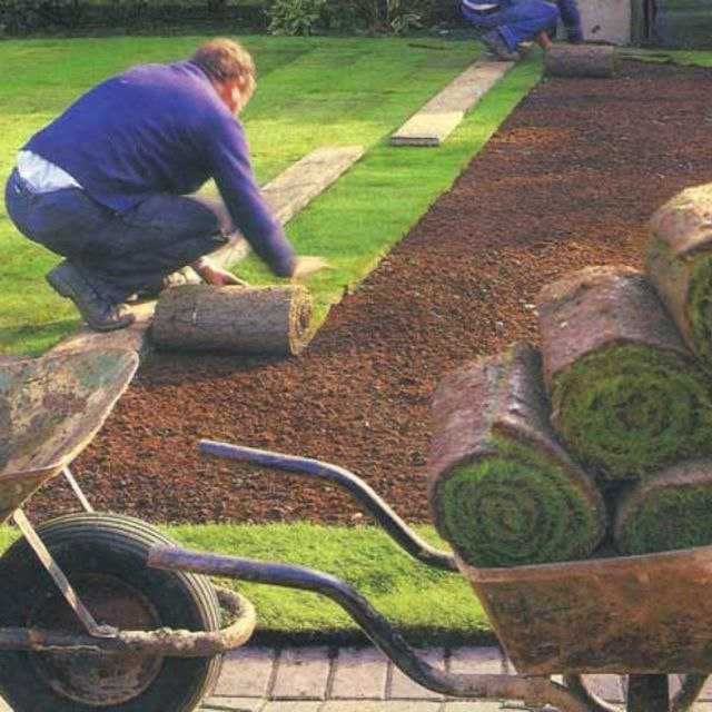 Газон Ланшафт газон ремонт с гарантией качества