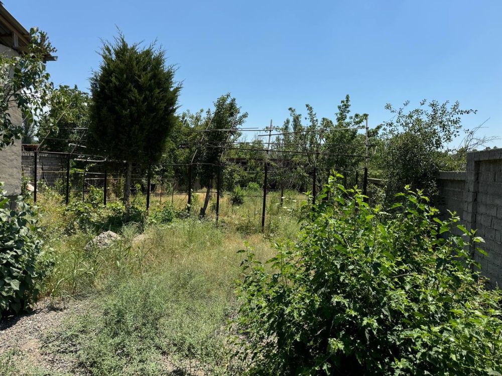 Nazarbek Tarnov nurafshon bog’i 40 uy