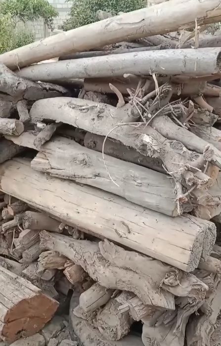 Кунда утин O'tin kunda bor sotiladigan