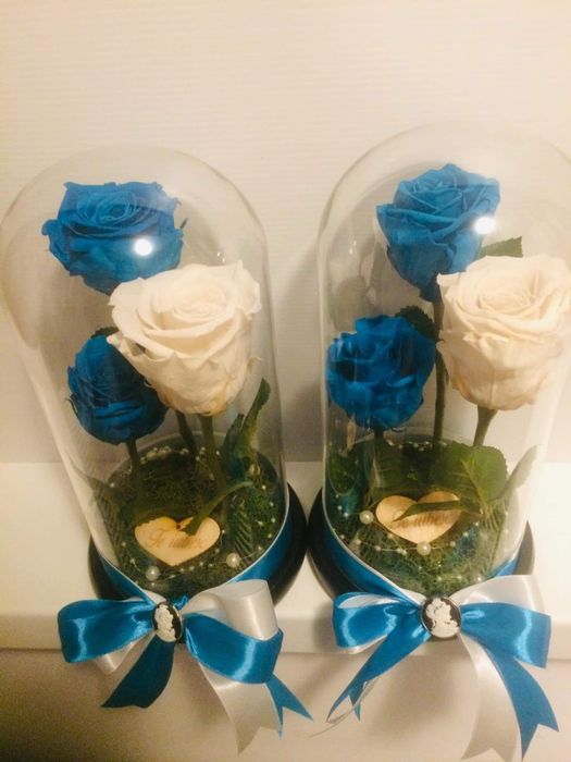 3 trandafiri criogenati