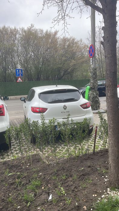 Renault Clio Reneo Clio 2019
