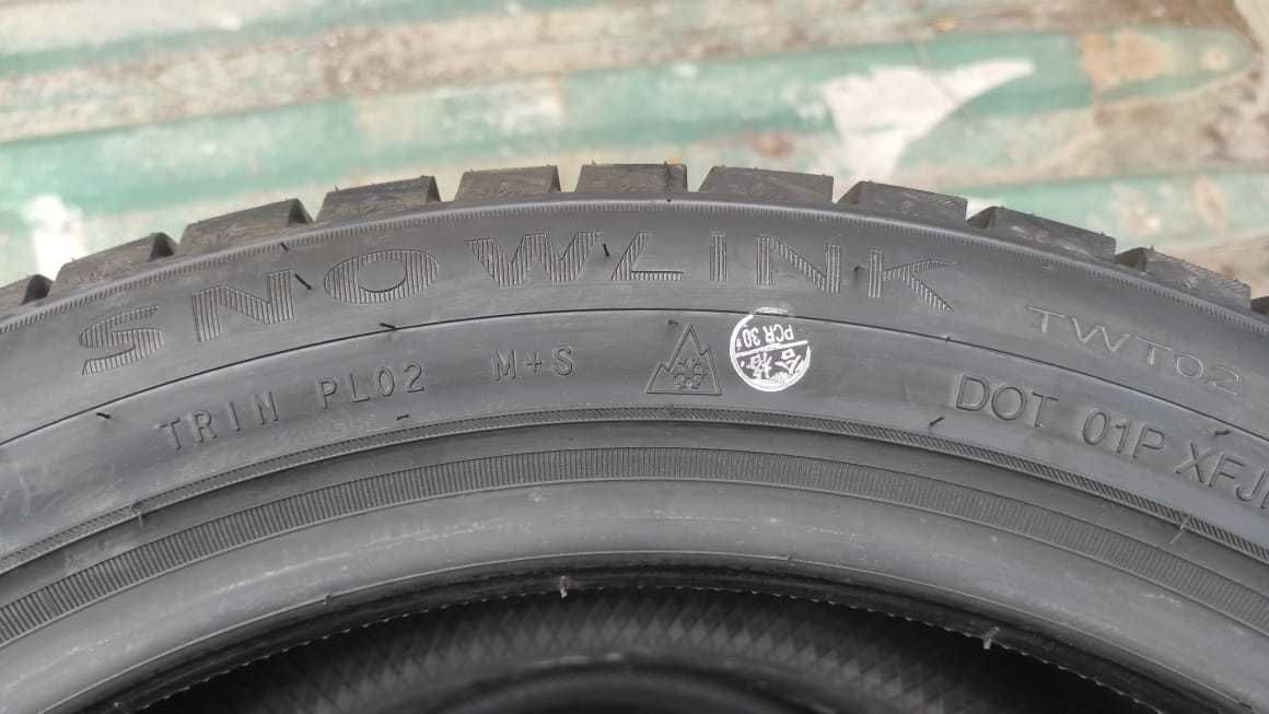 Шины зимние 245/45/19 Triangle PL02 (102V)