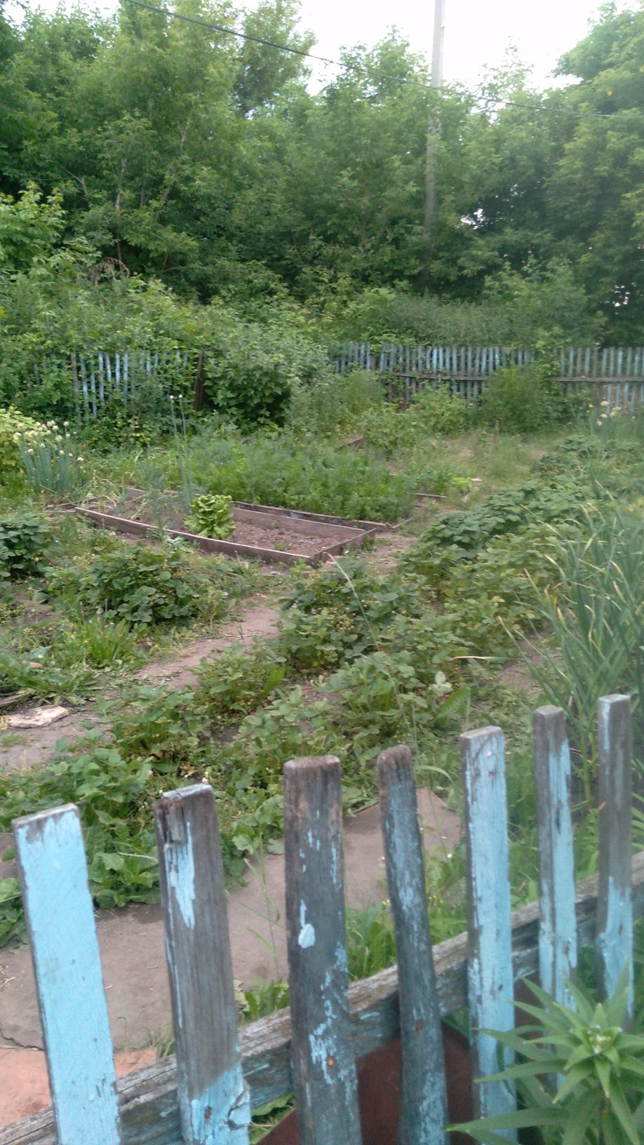 Продам дом ,в хорошем районе