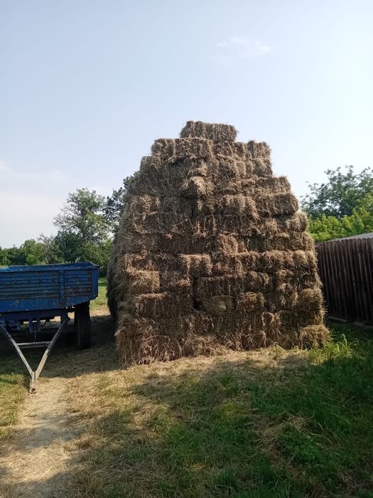 Baloti de fân 400 de bucăți