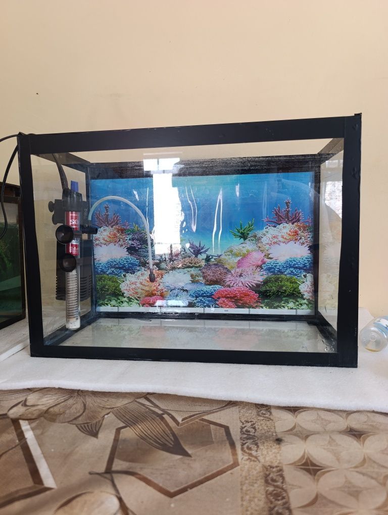 Akvarium sotiladi 40 litir
