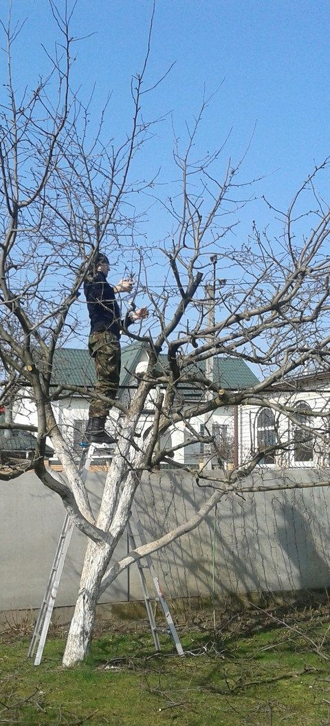 Садовник Богбон Ландшафтный дизай.